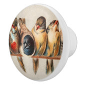Vogellijn en duif keramische knop (Rechts)