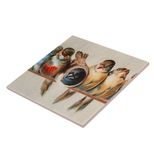 Vogellijn en duif tegeltje (Zijkant)