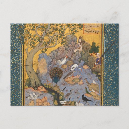 Vogelloop van de Heabiballah van Sava Briefkaart (Voorkant)