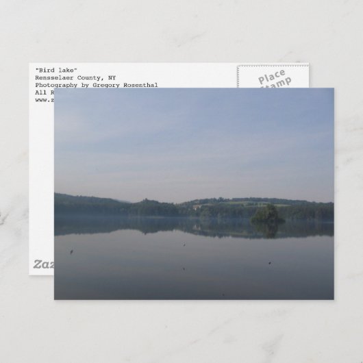 vogelmeer briefkaart (Voorkant / Achterkant)