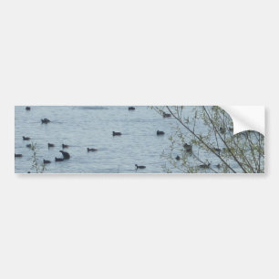 Vogelmeer Bumpersticker