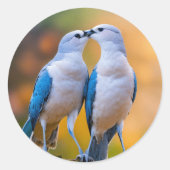 Vogelminnende stickers (Voorkant)