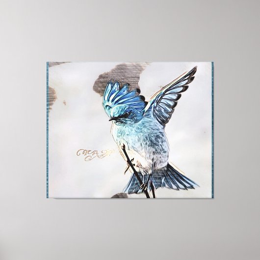 Vogelmodellen: Berg Bluebird 01-02 Canvas Afdruk (Voorkant)