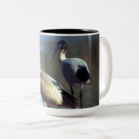 Vogelmok Tweekleurige Koffiemok (Voorkant rechts)