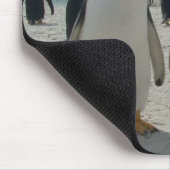 VogelMuismat 19 Muismat (Hoek)