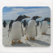 VogelMuismat 19 Muismat (Voorkant)