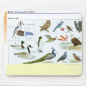 VogelMuismat 24 Muismat (Voorkant)