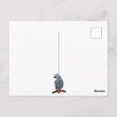 VOGELNERD, papegaaien, uil, duiven, kookaburra Briefkaart (Achterkant)