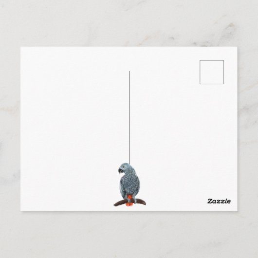 VOGELNERD, papegaaien, uil, duiven, kookaburra Briefkaart (Achterkant)