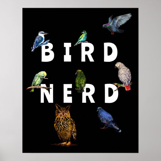 VOGELNERD, papegaaien, uil, duiven, kookaburra Poster (Voorkant)