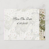 VOGELNEST, BEKIJKEN MET BROEIENDE WITTE SPRINGSTRO AANKONDIGINGSKAART (Achterkant)