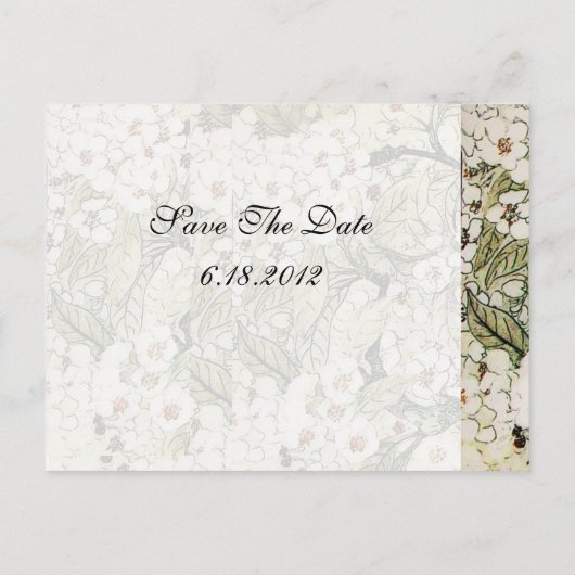 VOGELNEST, BEKIJKEN MET BROEIENDE WITTE SPRINGSTRO AANKONDIGINGSKAART (Achterkant)