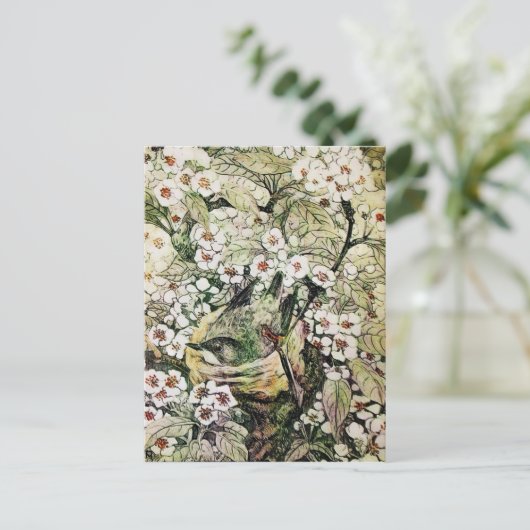 VOGELNEST, BEKIJKEN MET BROEIENDE WITTE SPRINGSTRO AANKONDIGINGSKAART (Staand voorkant)