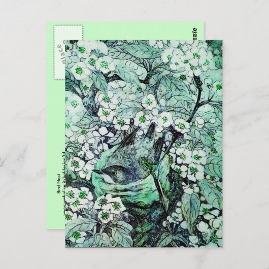 VOGELNEST, BOMEN MET GROENE WITTE SPRINGSTROMEN BRIEFKAART (Voorkant / Achterkant)