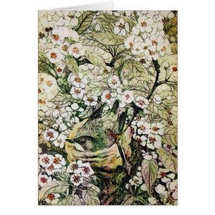VOGELNEST, BOOM MET BRUINE WITTE LENTE BLOEMEN