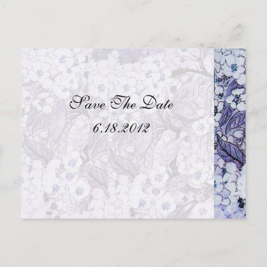 VOGELNEST, BOOM MET WITTE BLAUWE LENTE BLOEMEN AANKONDIGINGSKAART (Achterkant)