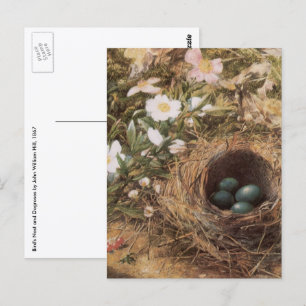 Vogelnest en Hondsrozen door John William Hill Briefkaart