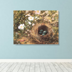 Vogelnest en Hondsrozen door John William Hill Canvas Afdruk