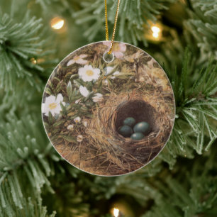 Vogelnest en Hondsrozen door John William Hill Keramisch Ornament