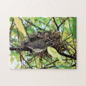 Vogelnest Foto Legpuzzel (Horizontaal)