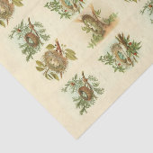  Vogelnest Illustraties Decoupage Papier (Detail)