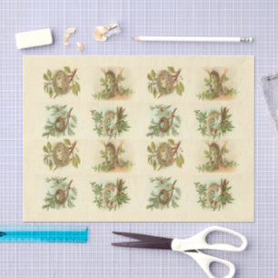 Vogelnest Illustraties Decoupage Papier