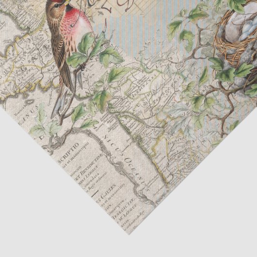 Vogelnest Kaart Muziek Frans Postmerk  Craft Tissuepapier (Detail)