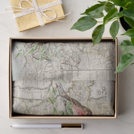 Vogelnest Kaart Muziek Frans Postmerk Craft Tissuepapier (Geschenk)