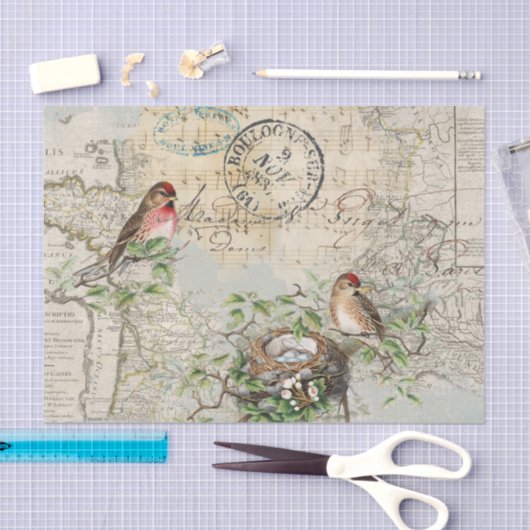 Vogelnest Kaart Muziek Frans Postmerk Craft Tissuepapier (Craft)