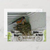 Vogelnest met citaat over huis. briefkaart (Voorkant / Achterkant)