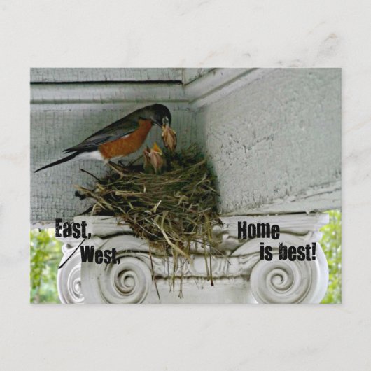 Vogelnest met citaat over huis. briefkaart (Voorkant)