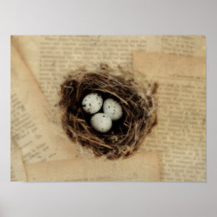 Vogelnest Met Eieren Modern Vintage Pasen Poster