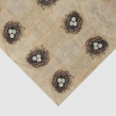 Vogelnest Oude Antieke Bruine Eieren Tissuepapier (Detail)