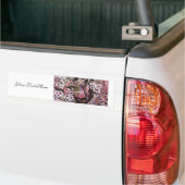 VOGELNEST, RODE WITTE PINKSTROOM BUMPERSTICKER (Op Truck)