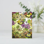 VOGELNEST SINAASAPPEL PURPER | Kleurenboek Ansic Briefkaart (Staand voorkant)