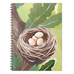 Vogelnest Watercolor Eieren Natuur Schilderij Notitieboek