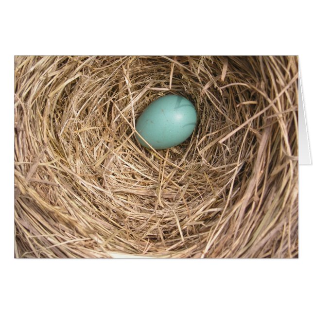 Vogelnest (West-Virginia) (Voorkant Horizontaal)