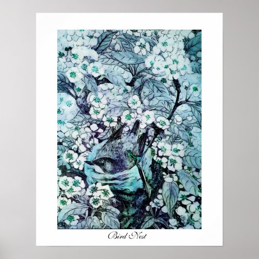 VOGELNEST ,wit blauw Poster (Voorkant)