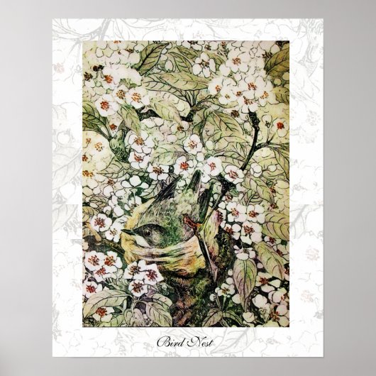 VOGELNEST, wit bruin groen geel Poster (Voorkant)