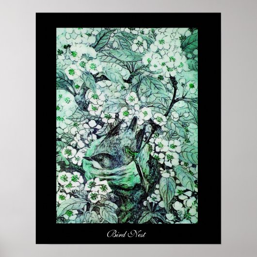 VOGELNEST ,wit groen zwart Poster (Voorkant)