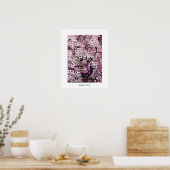 VOGELNEST ,wit rood roze paars Poster (Keuken)