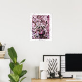VOGELNEST ,wit rood roze paars Poster (Thuiskantoor)