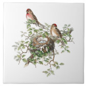 Vogelnestachtergrond Tegeltje (Voorkant)