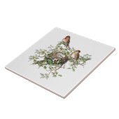 Vogelnestachtergrond Tegeltje (Zijkant)