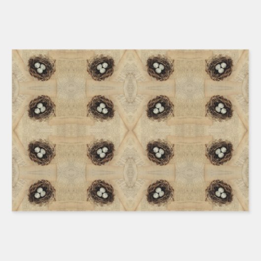  vogelnestbroed Oude Antiek bruine eieren Inpakpapier Vel (Voorkant 2)