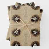  vogelnestbroed Oude Antiek bruine eieren Inpakpapier Vel (In situ)