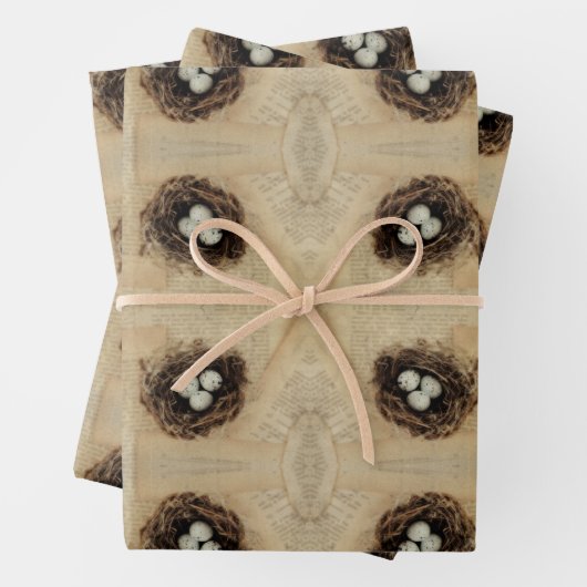  vogelnestbroed Oude Antiek bruine eieren Inpakpapier Vel (In situ)