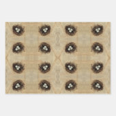vogelnestbroed Oude Antiek bruine eieren Inpakpapier Vel (Voorkant)