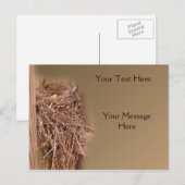 Vogelnesten in hechting Natuur Briefkaart (Voorkant / Achterkant)