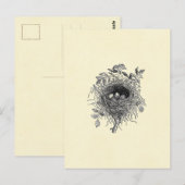 vogelnestillustratie briefkaart (Voorkant / Achterkant)